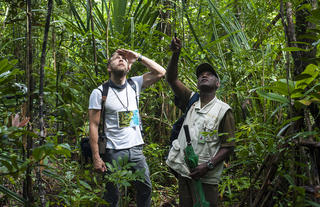 Masoala Forest Lodge - forest walk