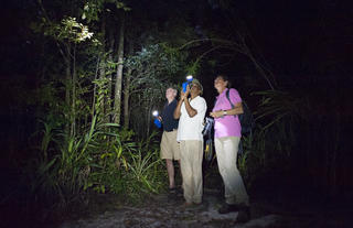 Masoala Forest Lodge - night walk