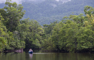 Masoala Forest Lodge - freshwater pirogue