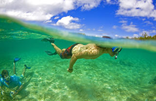 Masoala Forest Lodge - snorkelling