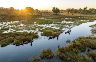 North Island Okavango, NG 23A, Okavango Delta