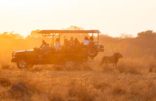Game Drive