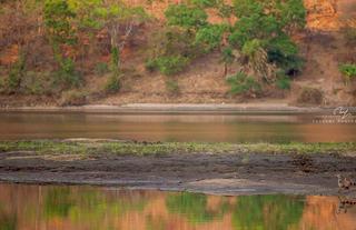 birding safari