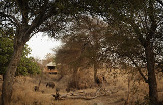 Olkeri Camp - Ellies by the waterhole