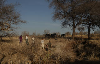 Olkeri Camp - walking safari