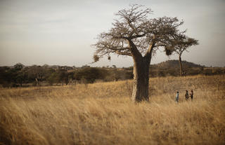 Olkeri Camp - Activities