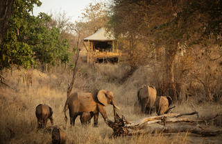 Olkeri Camp Tented Rooms