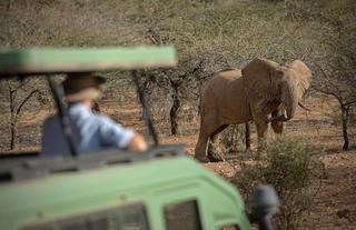 Ellies on conservancy