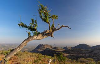 Ol Lentille conservancy