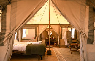 Guest Tent 