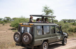 Togoro Family Safari