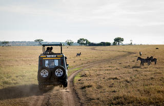 Togoro Safari