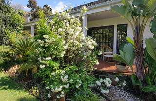 Front garden and veranda