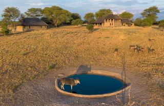 Waterhole