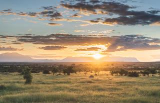 Walkers Plains Camp Timbavati Landscape