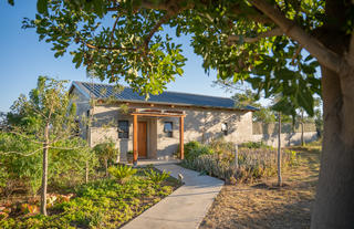 Walkers Plains Camp Safari Room
