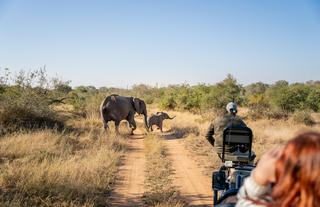 Walkers Plains Camp Game Drive
