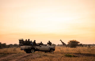Walkers Plains Camp Game Drive