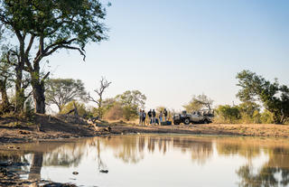 Walkers Plains Camp Game Drive