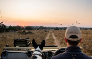 Walkers Plains Camp Game Drive