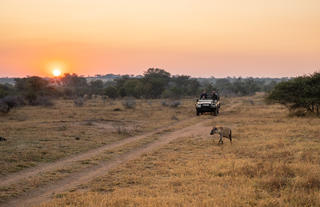 Walkers Plains Camp Game Drive