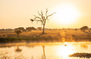 Walkers Plains Camp Game Drive