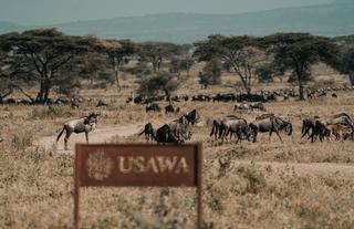 Wilderness Usawa Serengeti