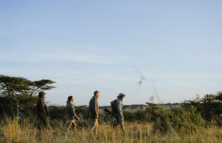 Wilderness Usawa Serengeti