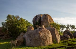 Wilderness Usawa Serengeti