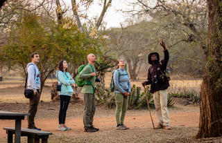 Hlane Royal National Park - Ndlovu Camp