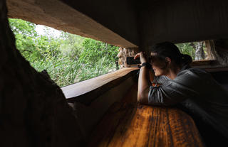 Mkhaya Game Reserve - Stone Camp