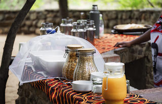 Mkhaya Game Reserve - Stone Camp