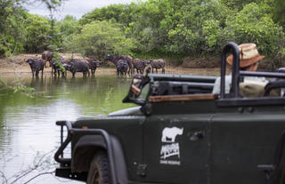 Mkhaya Game Reserve - Stone Camp