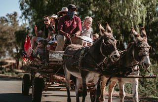 Donkey Cart Rides