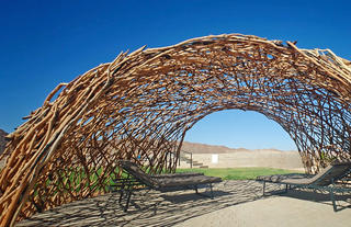 Sossus Oasis Campsite Pool