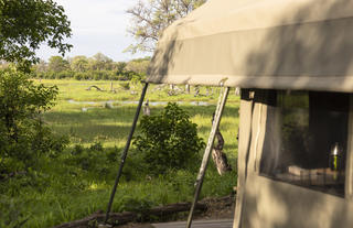 MmaTsebe: View from Tent