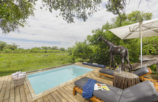 MmaTsebe's Pool & Giraffe Shower