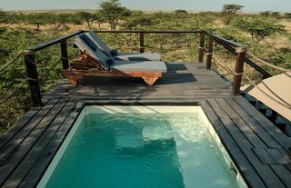 Mara Expedition Camp - Swimming Pool