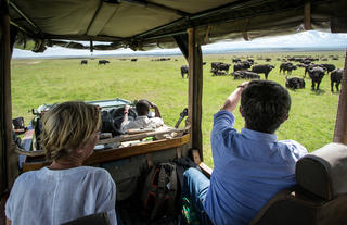 Wildlife Drive from Mara Expedition Camp
