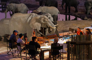 Around the campfire with the elephants at Nehimba