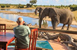 Breakfast with the elephants! 