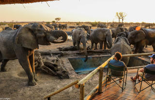 Amazing sundowner experiences in front of the lodge waterhole