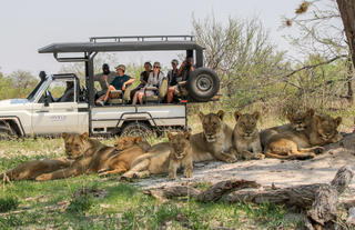 Thrilling Game drives