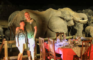Dinner with the elephants!