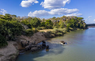 Elephants crossing Save in front of Chilo Gorge