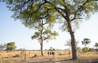 Karangoma - activity (walk)