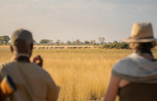 Karangoma - walking safari