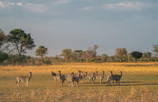 Karangoma - game viewing