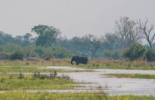 Karangoma - game viewing