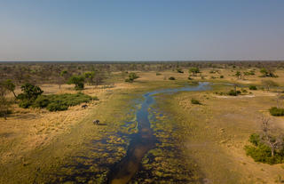 Karangoma - landscape